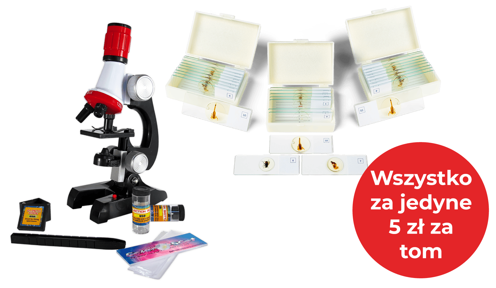 00-bolo-popup-premium-CHP